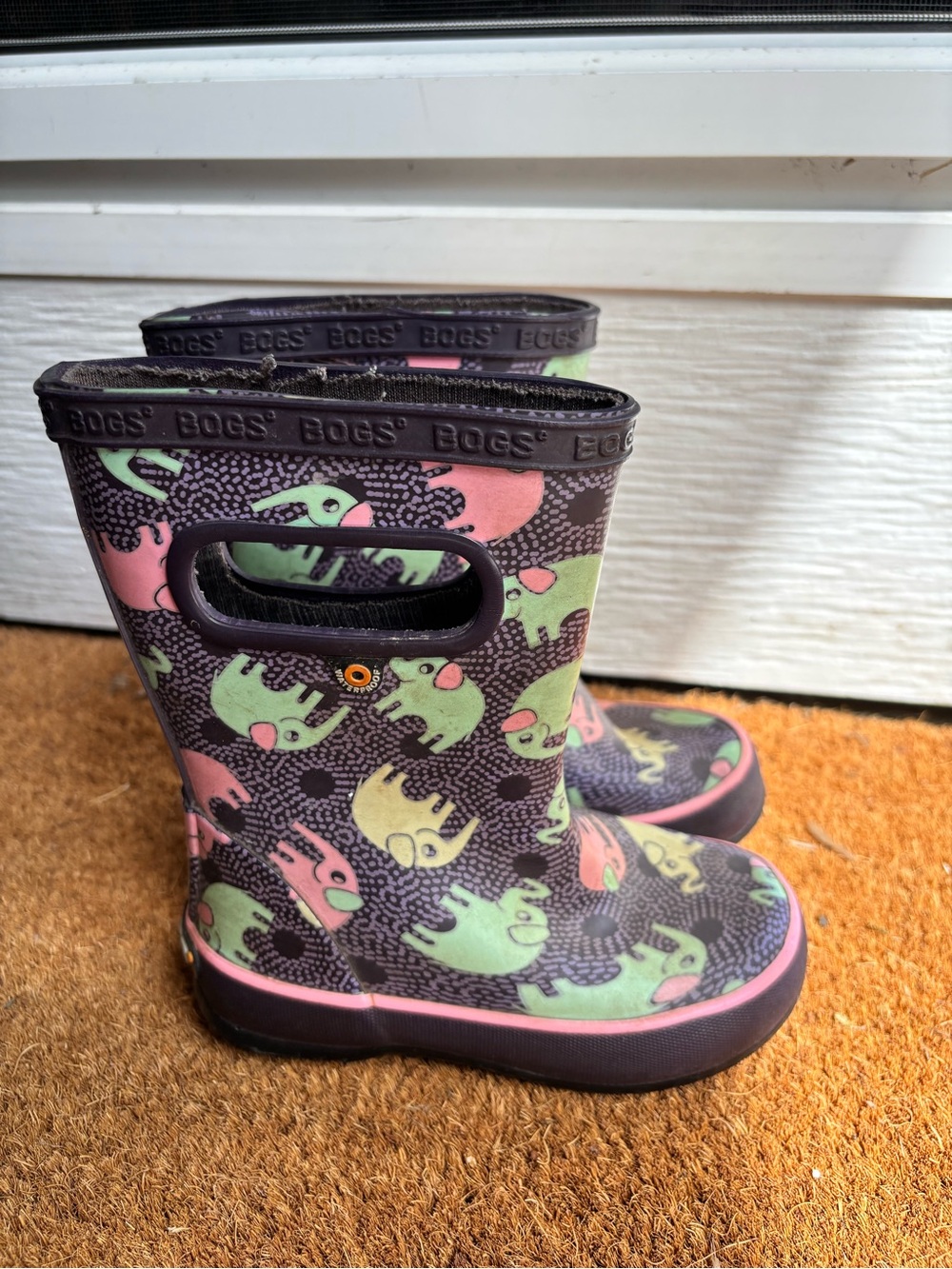 Bogs Rainboots